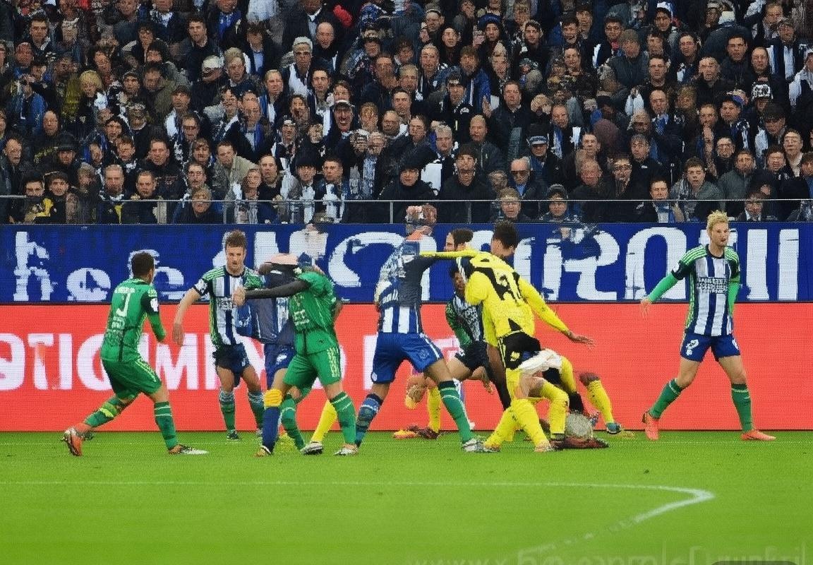 2018德甲巅峰对决：赫塔VS霍芬海姆精彩回顾(图2)