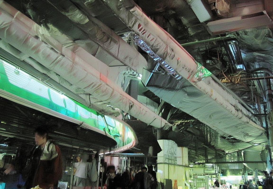 弗格传奇人生：时代变革中的科学巨擘与人文关怀